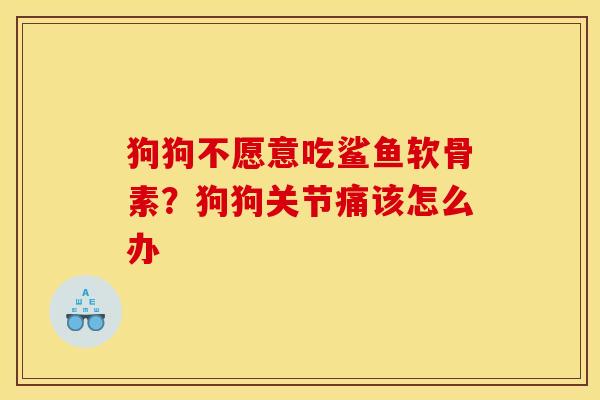 狗狗不愿意吃鲨鱼软骨素？狗狗关节痛该怎么办