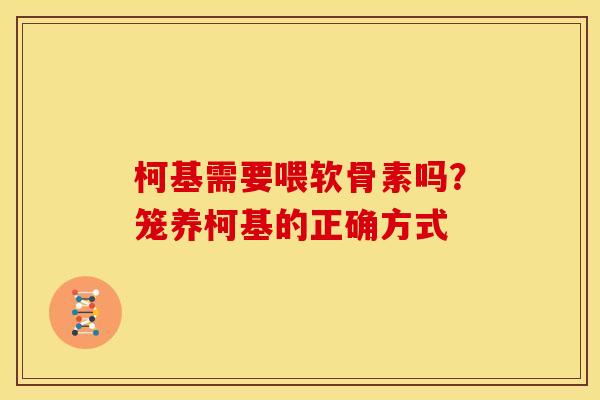 柯基需要喂软骨素吗？笼养柯基的正确方式