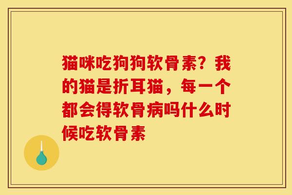 猫咪吃狗狗软骨素？我的猫是折耳猫，每一个都会得软骨病吗什么时候吃软骨素