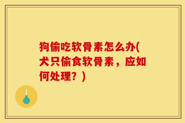 狗偷吃软骨素怎么办(犬只偷食软骨素，应如何处理？)
