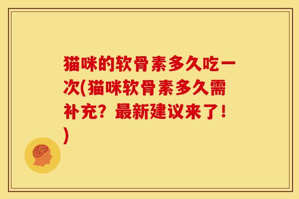 猫咪的软骨素多久吃一次(猫咪软骨素多久需补充？最新建议来了！)