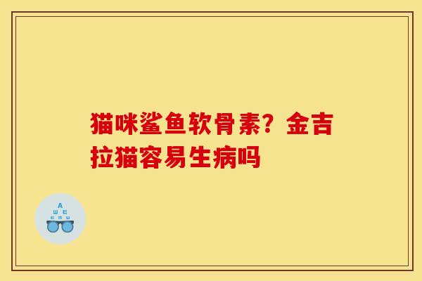 猫咪鲨鱼软骨素？金吉拉猫容易生病吗