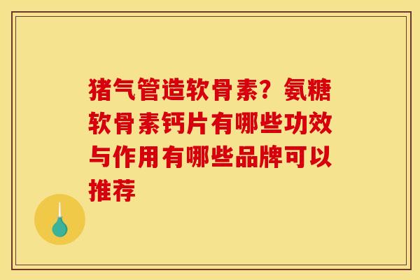 猪气管造软骨素？氨糖软骨素钙片有哪些功效与作用有哪些品牌可以推荐