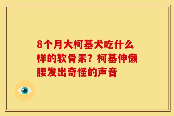 8个月大柯基犬吃什么样的软骨素？柯基伸懒腰发出奇怪的声音