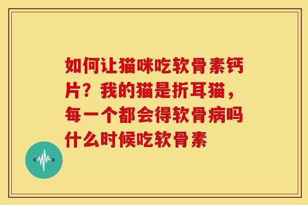如何让猫咪吃软骨素钙片？我的猫是折耳猫，每一个都会得软骨病吗什么时候吃软骨素