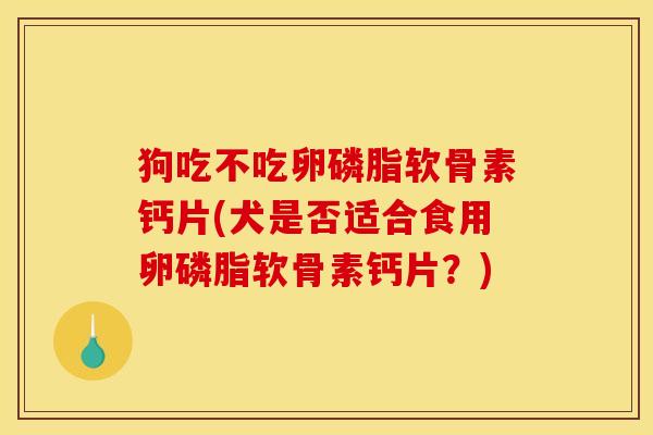 狗吃不吃卵磷脂软骨素钙片(犬是否适合食用卵磷脂软骨素钙片？)