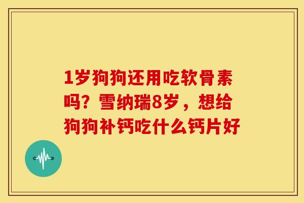 1岁狗狗还用吃软骨素吗？雪纳瑞8岁，想给狗狗补钙吃什么钙片好