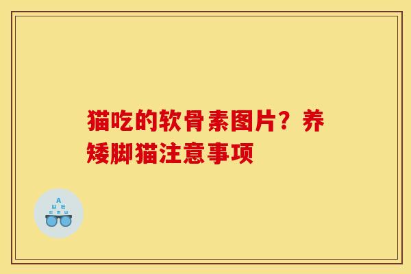 猫吃的软骨素图片？养矮脚猫注意事项