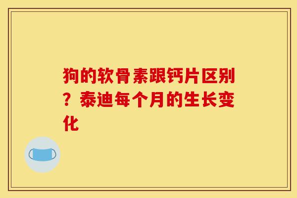 狗的软骨素跟钙片区别？泰迪每个月的生长变化