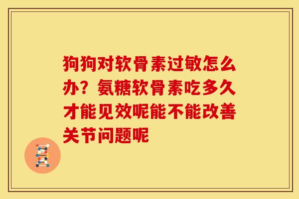 狗狗对软骨素过敏怎么办？氨糖软骨素吃多久才能见效呢能不能改善关节问题呢