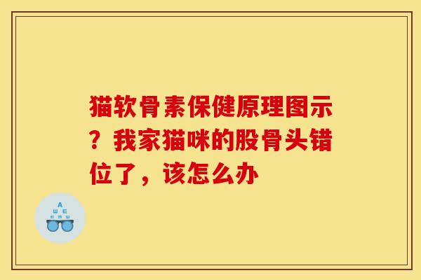 猫软骨素保健原理图示？我家猫咪的股骨头错位了，该怎么办