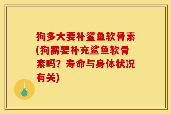 狗多大要补鲨鱼软骨素(狗需要补充鲨鱼软骨素吗？寿命与身体状况有关)