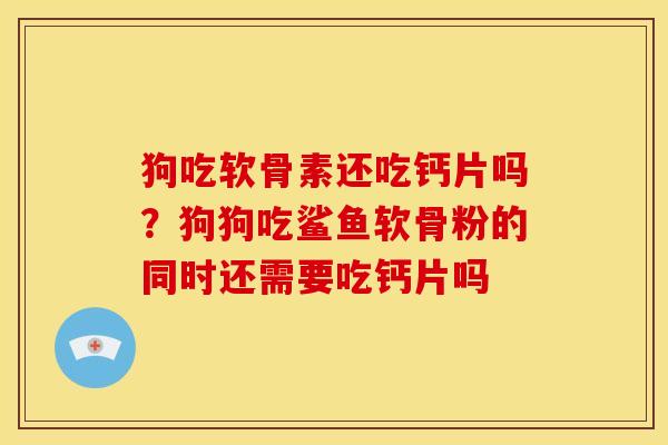 狗吃软骨素还吃钙片吗？狗狗吃鲨鱼软骨粉的同时还需要吃钙片吗