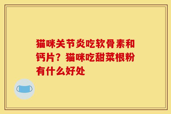 猫咪关节炎吃软骨素和钙片？猫咪吃甜菜根粉有什么好处