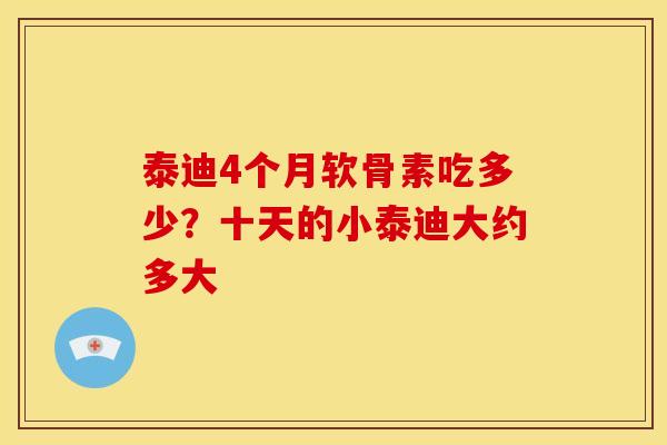 泰迪4个月软骨素吃多少？十天的小泰迪大约多大