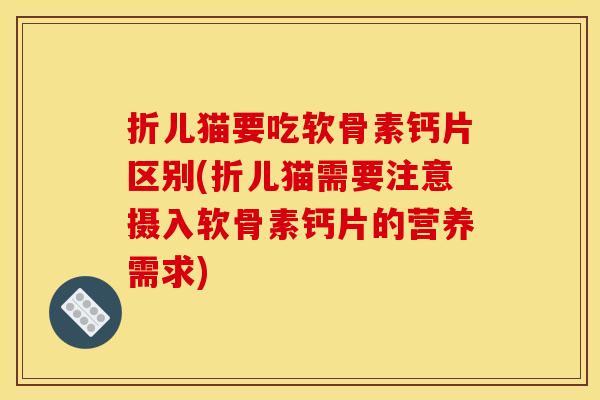 折儿猫要吃软骨素钙片区别(折儿猫需要注意摄入软骨素钙片的营养需求)