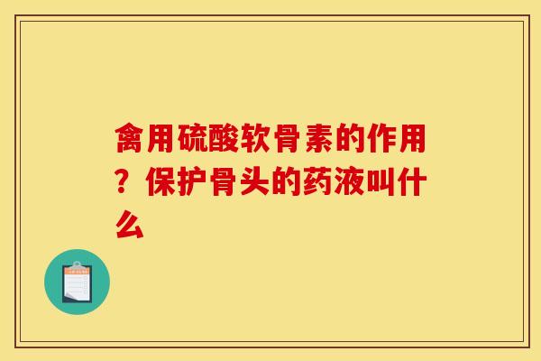 禽用硫酸软骨素的作用？保护骨头的药液叫什么