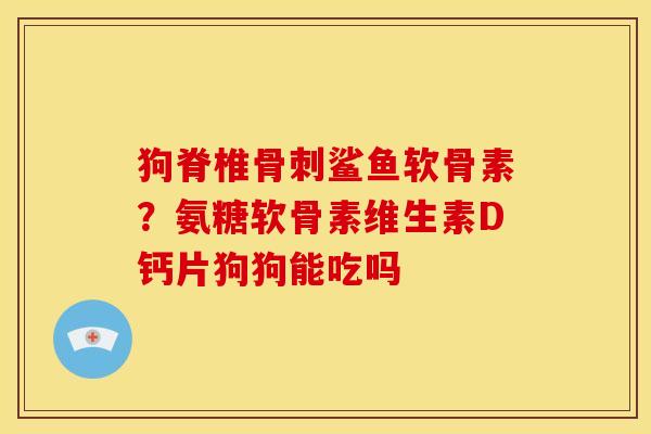 狗脊椎骨刺鲨鱼软骨素？氨糖软骨素维生素D钙片狗狗能吃吗