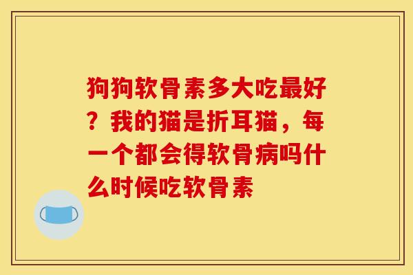 狗狗软骨素多大吃最好？我的猫是折耳猫，每一个都会得软骨病吗什么时候吃软骨素