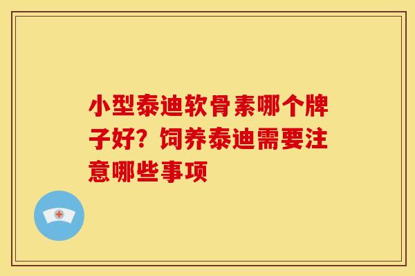 小型泰迪软骨素哪个牌子好？饲养泰迪需要注意哪些事项