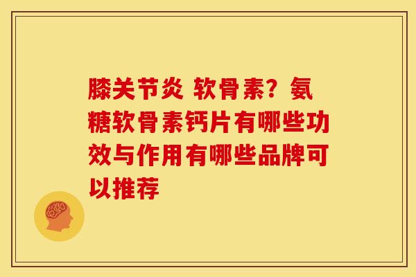 膝关节炎 软骨素？氨糖软骨素钙片有哪些功效与作用有哪些品牌可以推荐