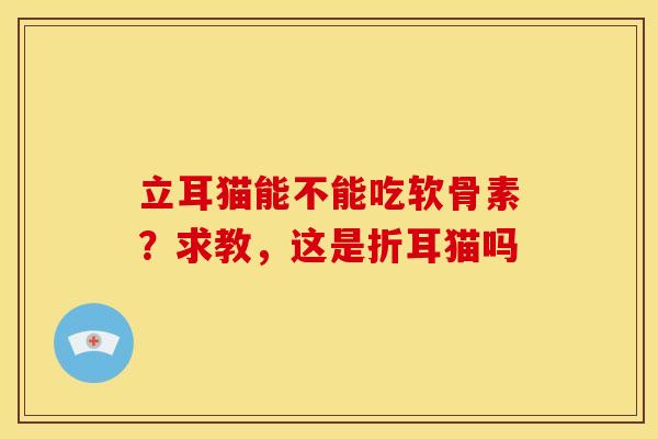 立耳猫能不能吃软骨素？求教，这是折耳猫吗