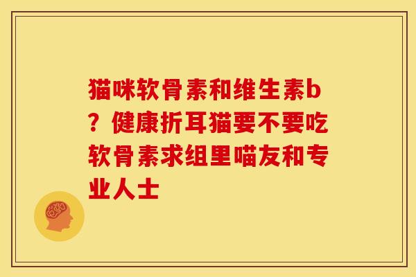 猫咪软骨素和维生素b？健康折耳猫要不要吃软骨素求组里喵友和专业人士