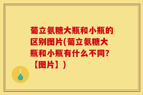 葡立氨糖大瓶和小瓶的区别图片(葡立氨糖大瓶和小瓶有什么不同？【图片】)