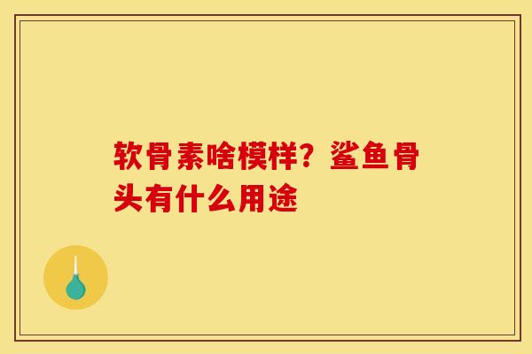 软骨素啥模样？鲨鱼骨头有什么用途