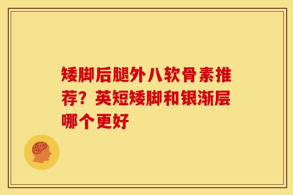 矮脚后腿外八软骨素推荐？英短矮脚和银渐层哪个更好