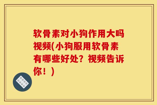 软骨素对小狗作用大吗视频(小狗服用软骨素有哪些好处？视频告诉你！)
