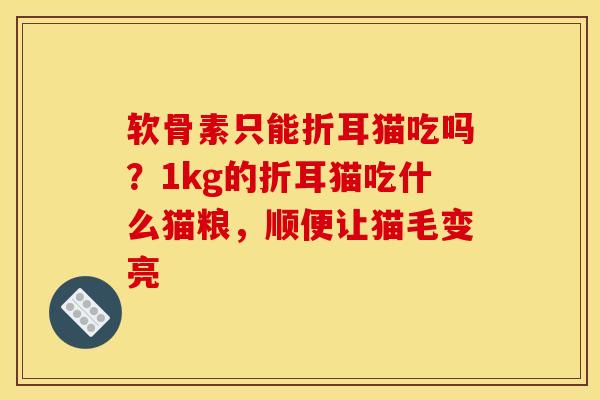 软骨素只能折耳猫吃吗？1kg的折耳猫吃什么猫粮，顺便让猫毛变亮
