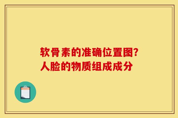软骨素的准确位置图？人脸的物质组成成分