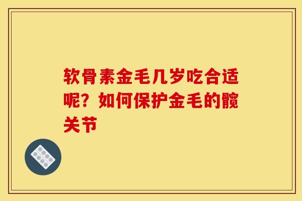 软骨素金毛几岁吃合适呢？如何保护金毛的髋关节