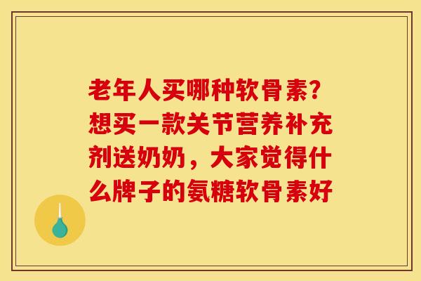 老年人买哪种软骨素？想买一款关节营养补充剂送奶奶，大家觉得什么牌子的氨糖软骨素好