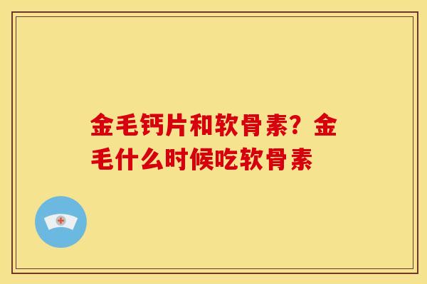 金毛钙片和软骨素？金毛什么时候吃软骨素