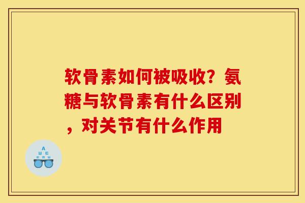 软骨素如何被吸收？氨糖与软骨素有什么区别，对关节有什么作用