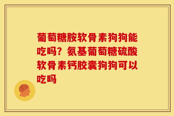 葡萄糖胺软骨素狗狗能吃吗？氨基葡萄糖硫酸软骨素钙胶囊狗狗可以吃吗