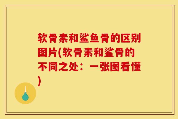 软骨素和鲨鱼骨的区别图片(软骨素和鲨骨的不同之处：一张图看懂)