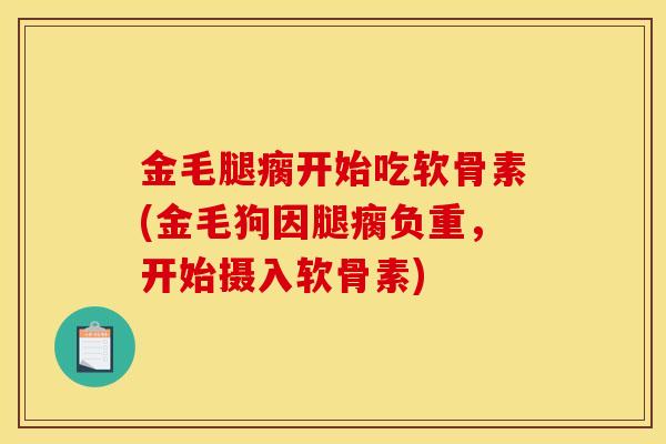金毛腿瘸开始吃软骨素(金毛狗因腿瘸负重，开始摄入软骨素)