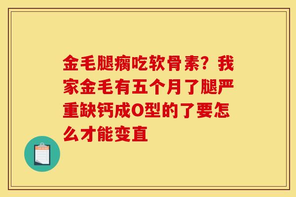 金毛腿瘸吃软骨素？我家金毛有五个月了腿严重缺钙成O型的了要怎么才能变直