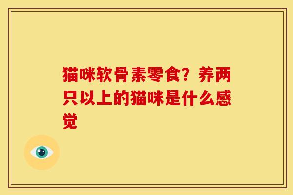 猫咪软骨素零食？养两只以上的猫咪是什么感觉