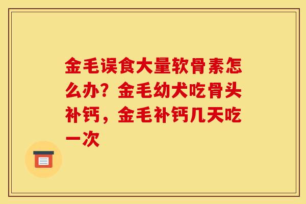 金毛误食大量软骨素怎么办？金毛幼犬吃骨头补钙，金毛补钙几天吃一次