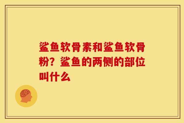 鲨鱼软骨素和鲨鱼软骨粉？鲨鱼的两侧的部位叫什么