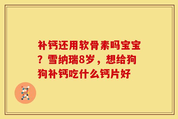 补钙还用软骨素吗宝宝？雪纳瑞8岁，想给狗狗补钙吃什么钙片好