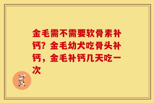 金毛需不需要软骨素补钙？金毛幼犬吃骨头补钙，金毛补钙几天吃一次
