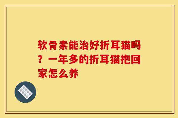 软骨素能治好折耳猫吗？一年多的折耳猫抱回家怎么养