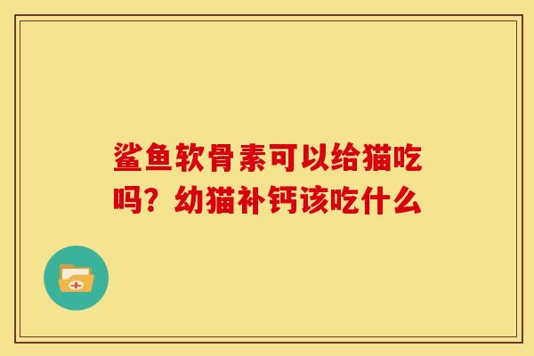 鲨鱼软骨素可以给猫吃吗？幼猫补钙该吃什么