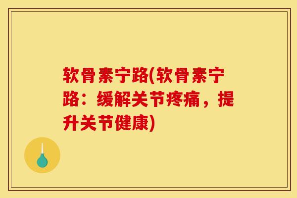 软骨素宁路(软骨素宁路：缓解关节疼痛，提升关节健康)