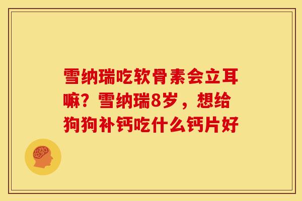 雪纳瑞吃软骨素会立耳嘛？雪纳瑞8岁，想给狗狗补钙吃什么钙片好